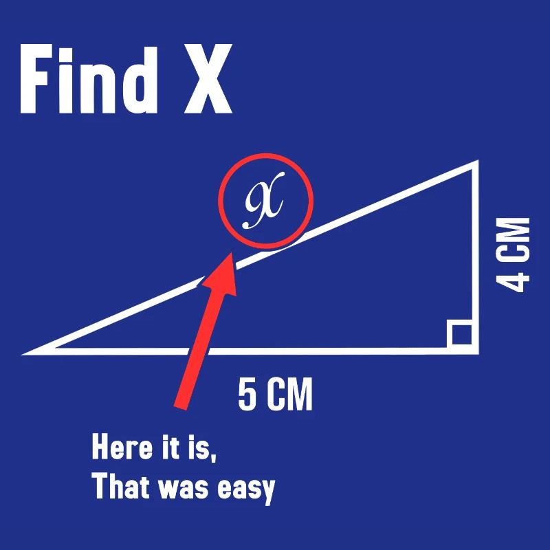 Find X Math Lover Mathematician Math Teacher