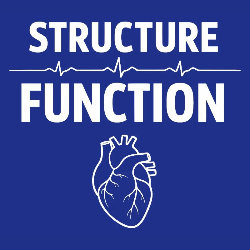 Herzultraschalltechniker Echo-techniker