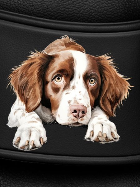 Brittany Dog