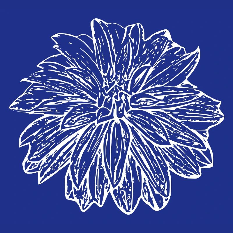 Fleur, Blanc, Fleur Blanche