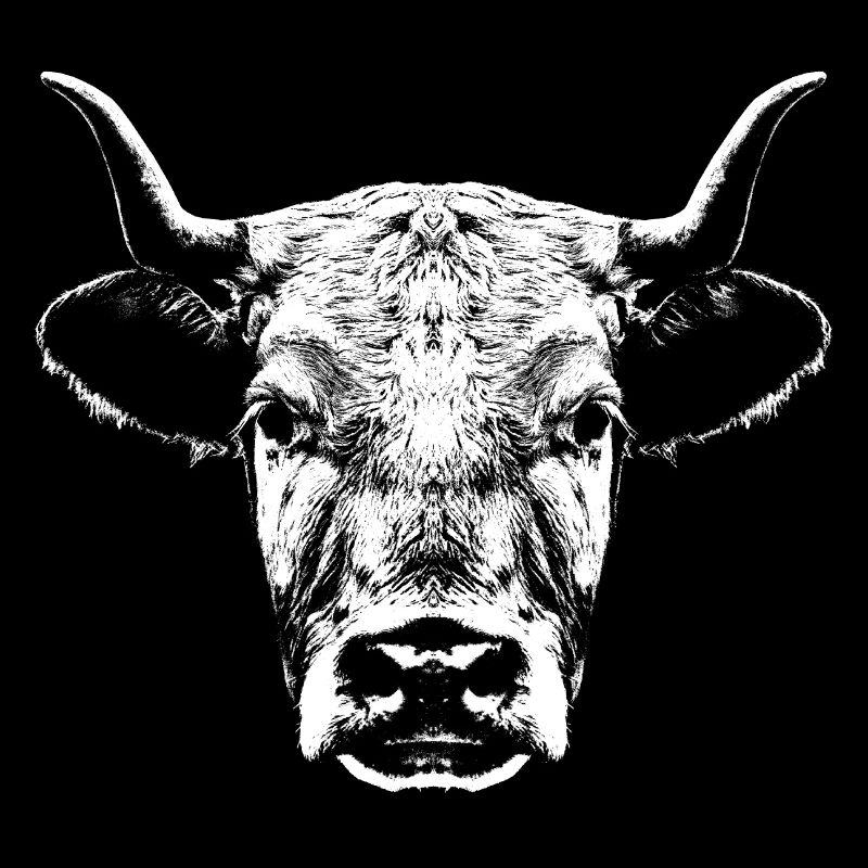 Cow / Head / Portrait