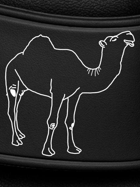 Dromedary lineart