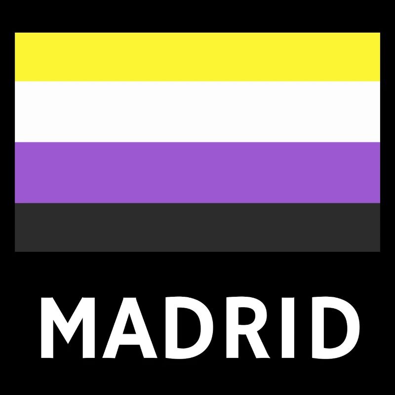Non binary Pride Flag Madrid