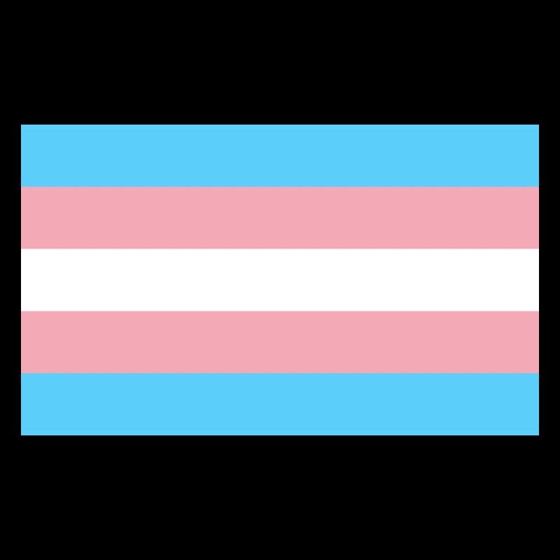 Trans Flag