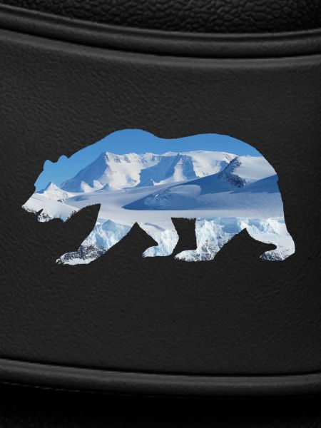 polar bear