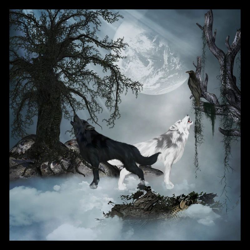 Loup noir et blanc