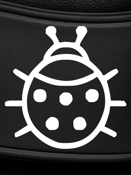 ladybug