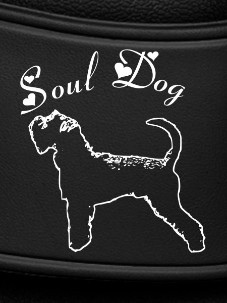 Schnauzer Soul dog