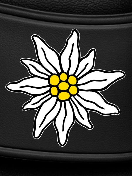 Edelweiss II