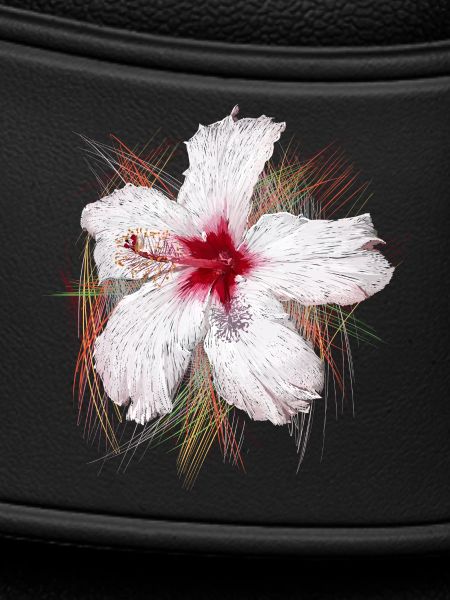 Blume