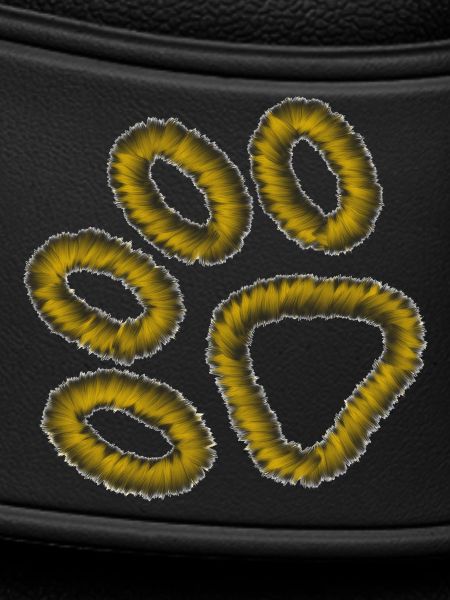 golden tiger paw