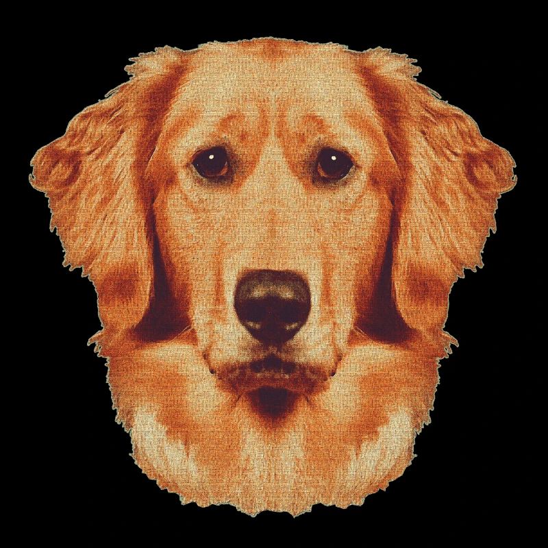 Gesicht Goldenretriever, hunderassen, süßes Hunde