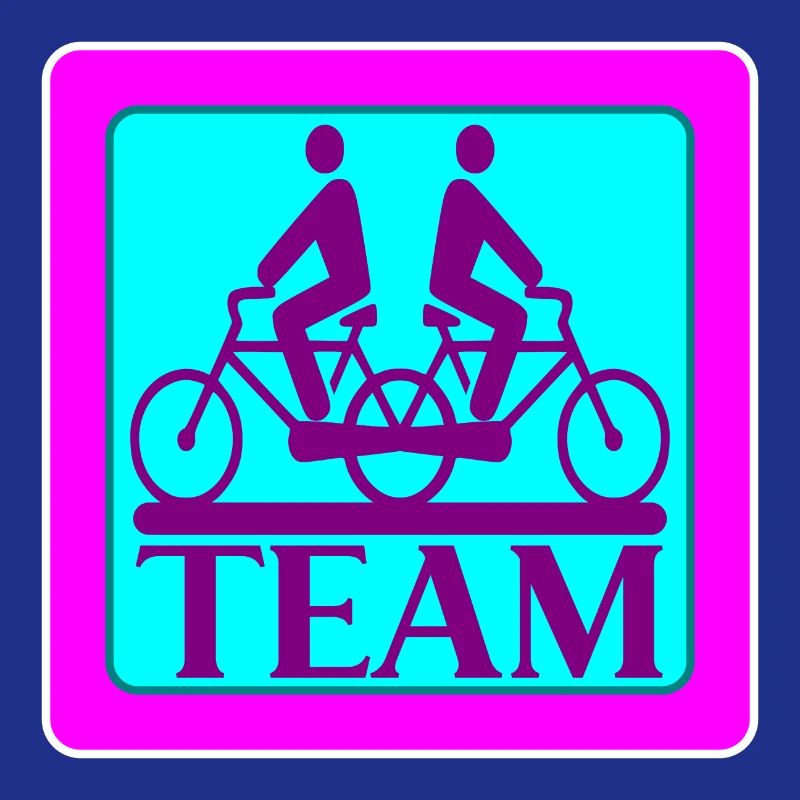 TEAM PROBLEMS - BICYCLE - STRATEGY