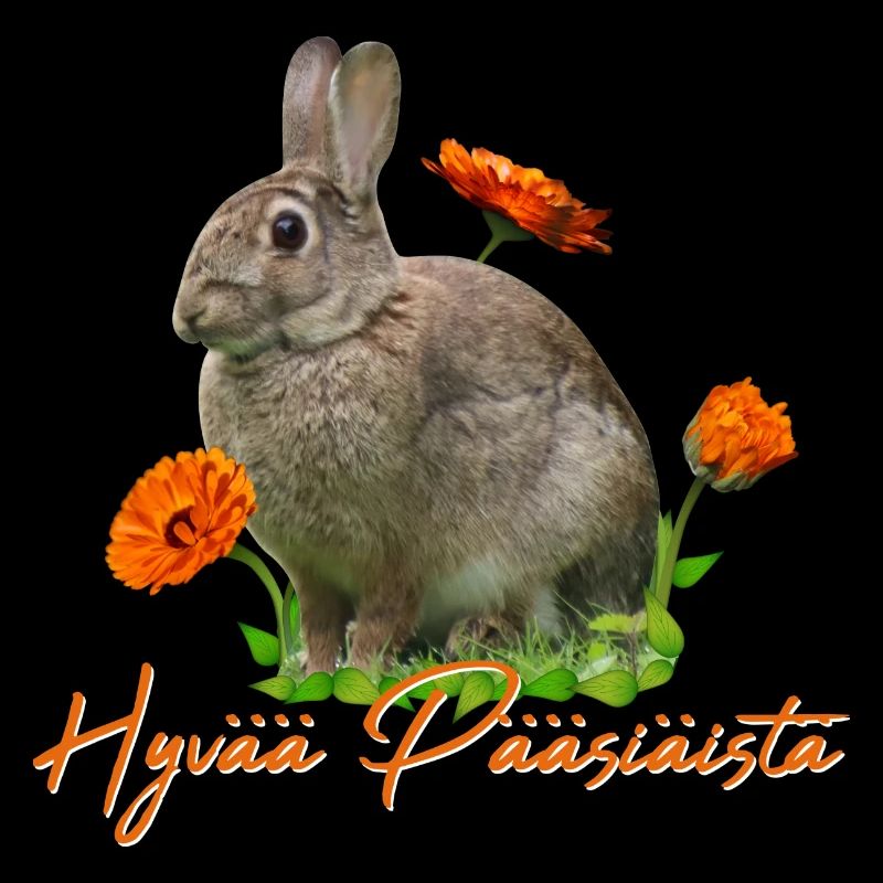 hyvää pääsiäistä Frohe Ostern