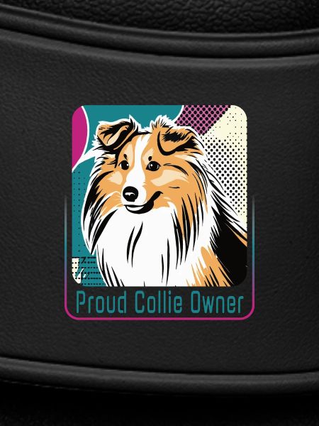 Stolzer Collie-Besitzer