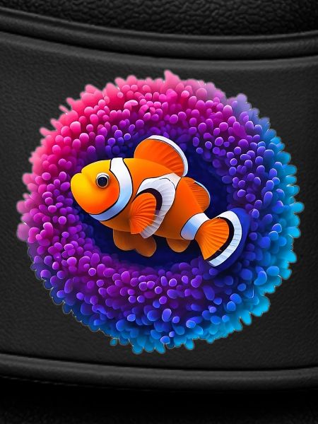 Poisson-clown et anémone