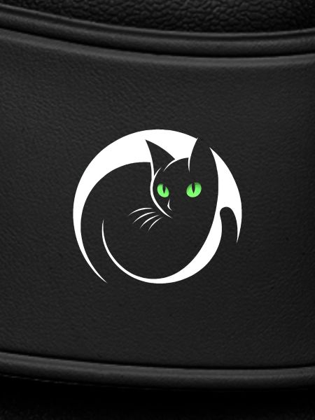 Elegant Black Cat