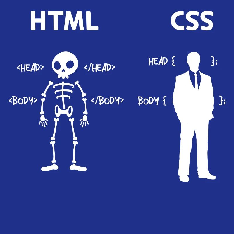 Code Css C++ Php Java Developer Code Skripting