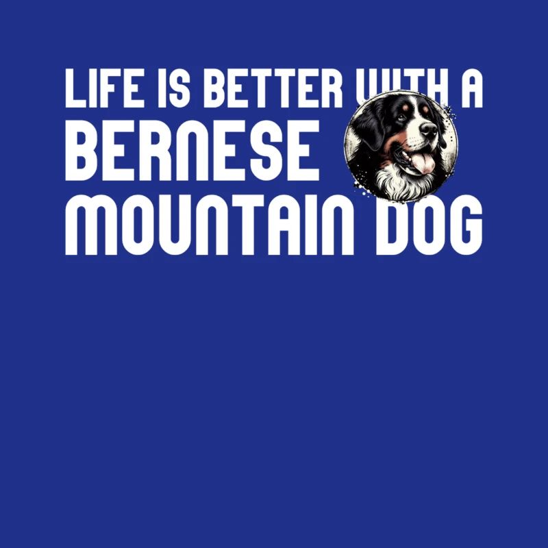 Bouvier bernois