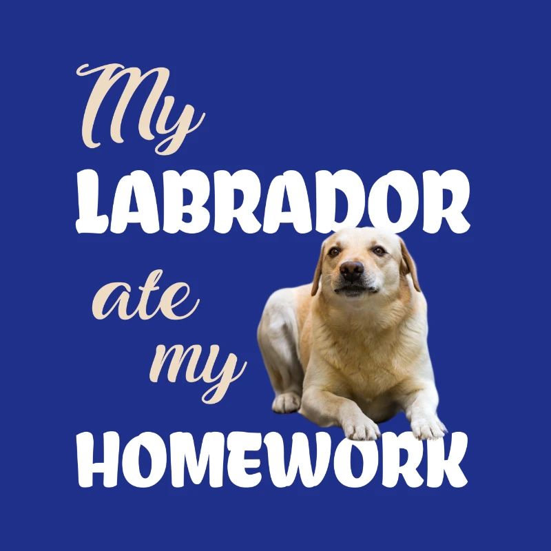 Devoirs du Labrador