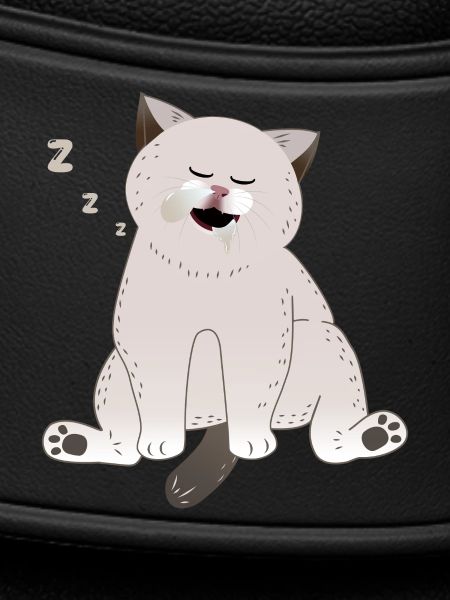 sleeping cat
