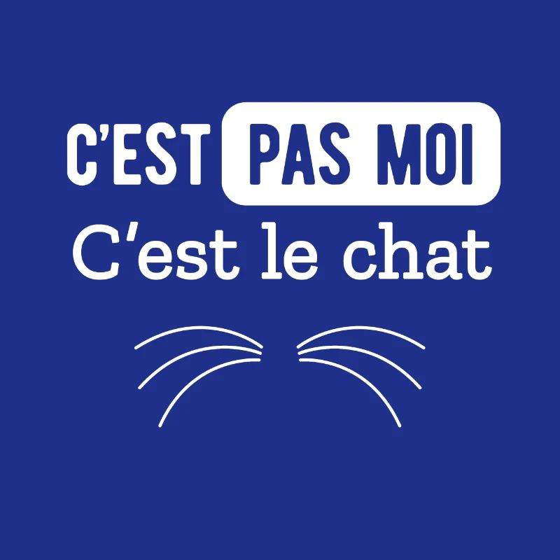 C EST PAS MOI C EST LE CHAT