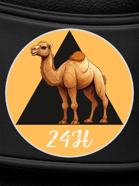 Kamel 24h