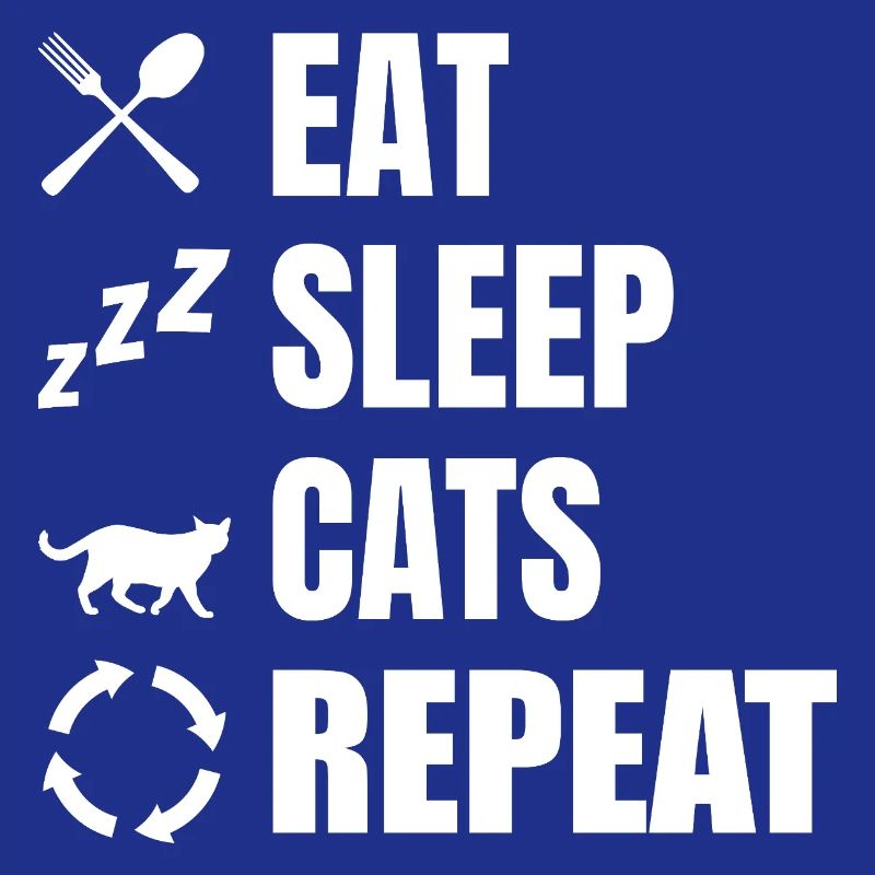 Manger dormir chats répéter