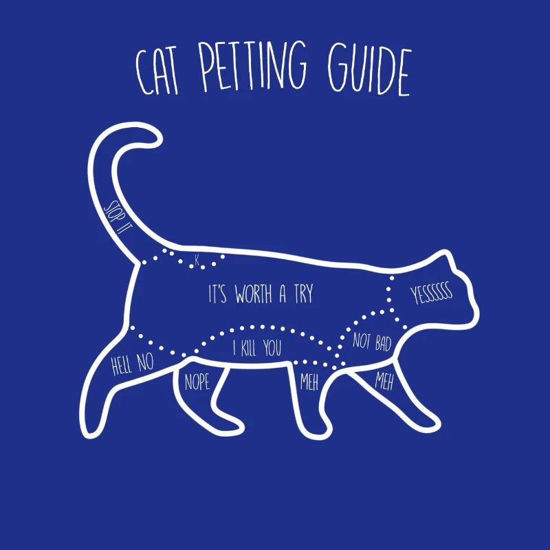 Guide de caresses pour chat