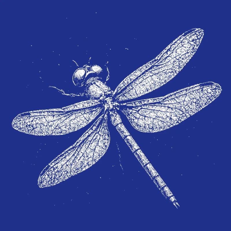 Libellule