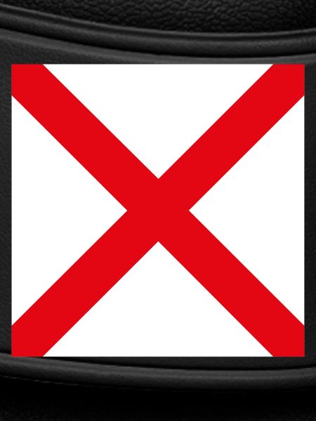 I_Require_Assistance_Flag