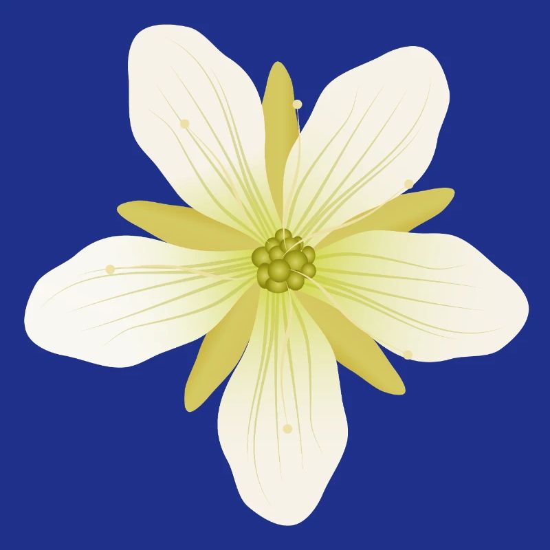 Delicate Venus flytrap blossom in pastel