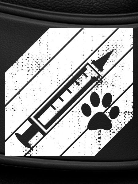 Vet Syringe