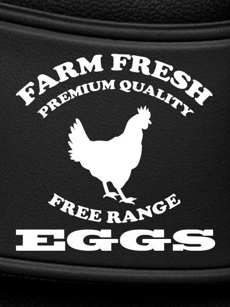 EGGS