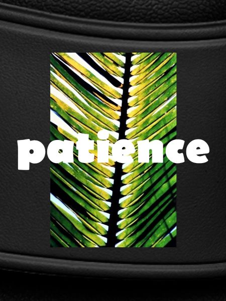 patience