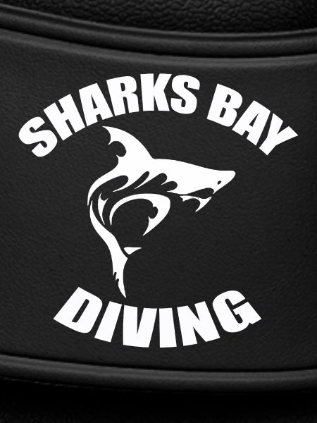 SHARKS BAY DIVING