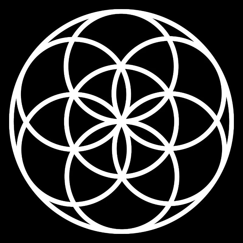 Samen des Lebens – Heilige Geometrie