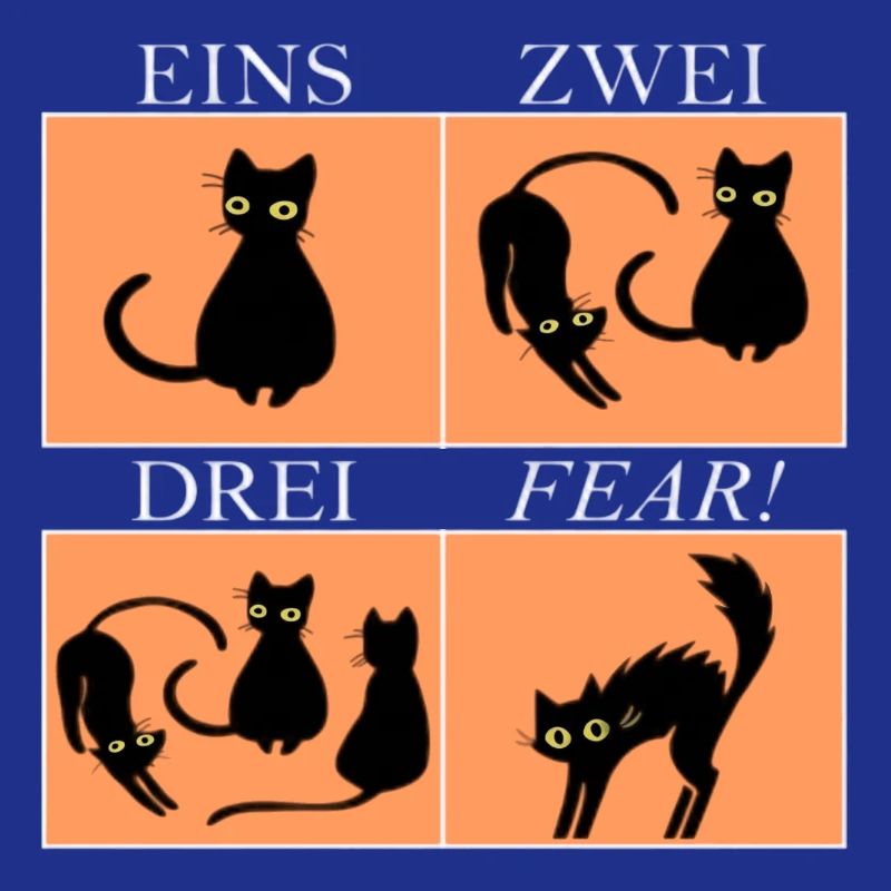 Vier Katzen Panels mit Spruch Fear