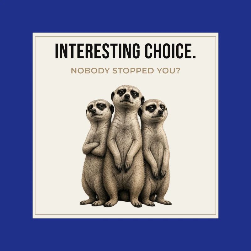Trio de suricates à choix intéressant