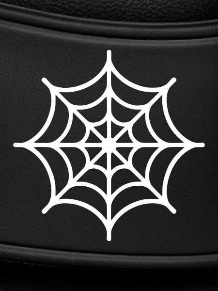 Spinnennetz Spinne