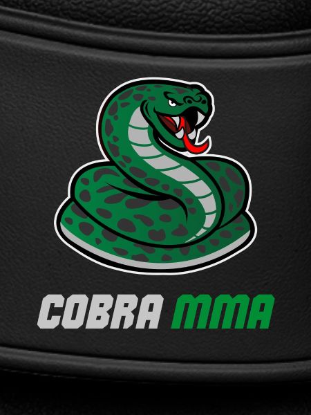 Cobra MMA Gym BJJ