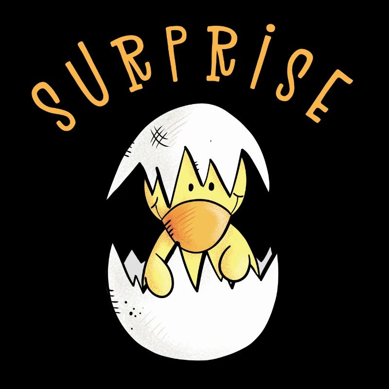 Surprise I chick egg I pregnancy gift