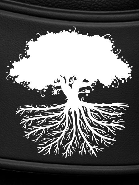 tree roots white