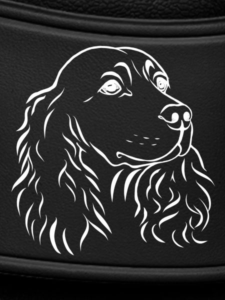 Spaniel portrait