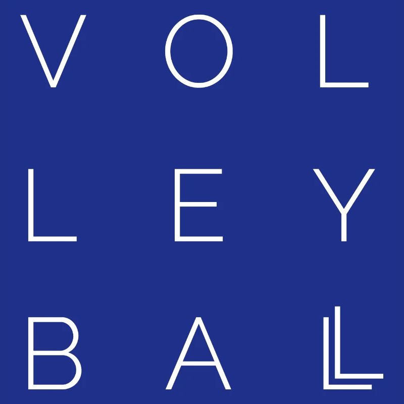 volleyball icon Logo icon idea font Vector