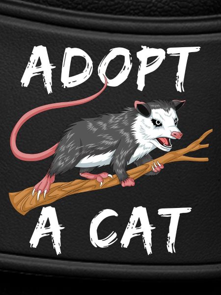 adopt a cat