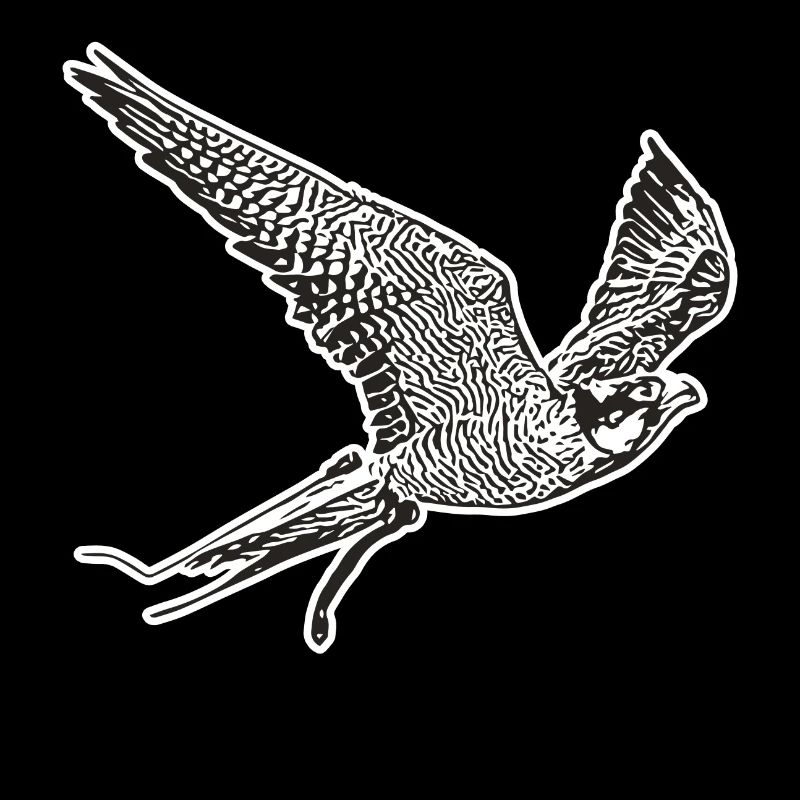 Falcon in flight