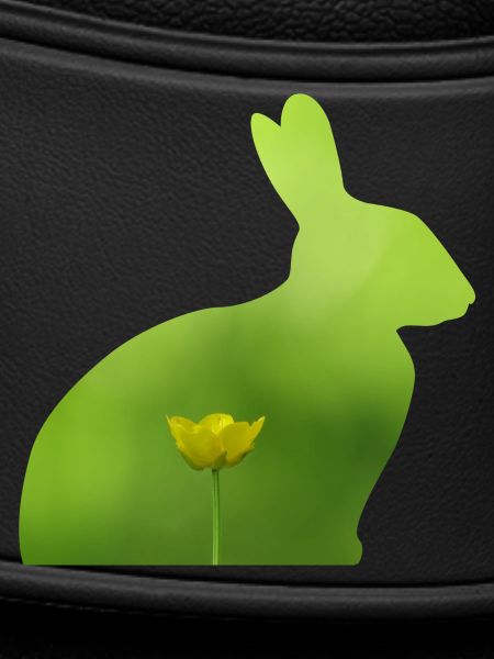 Hare