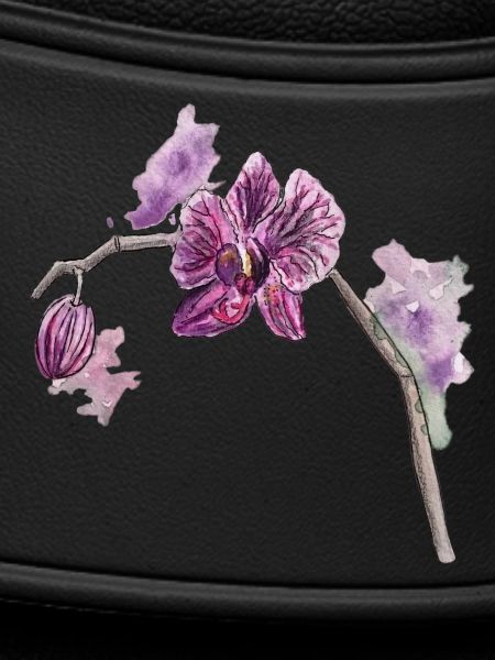 Orchidee - Pflanze - Blume