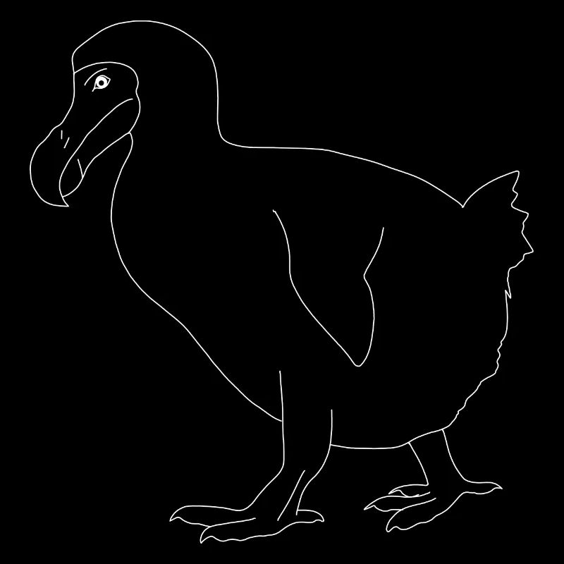 Dodo